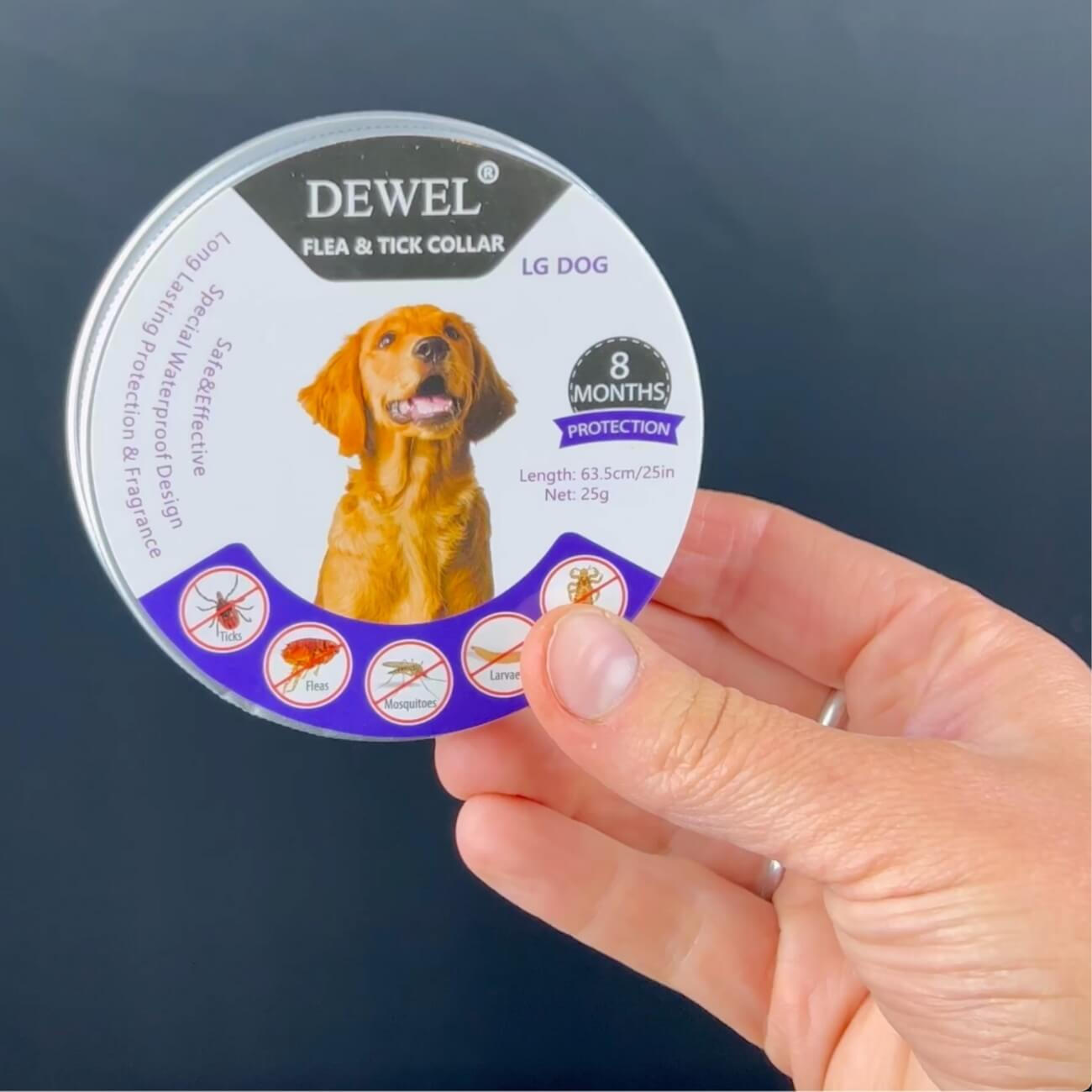 What Real Dog Owners Report After Switching to the DEWEL Collar